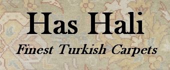 has-hali-banner-5A90EEDF5-567E-01EF-1E73-D013289D3E31.jpg