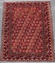 fine-afghan-shirvan_1104_1